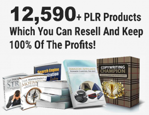 12590+ Digtial Products (Ad #_CB13)