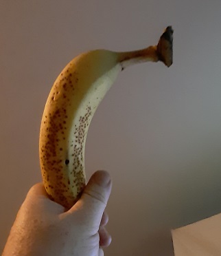2022-08-29 - Bananas