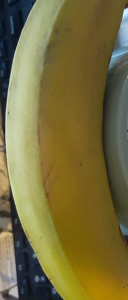 2022-09-15 - Banana