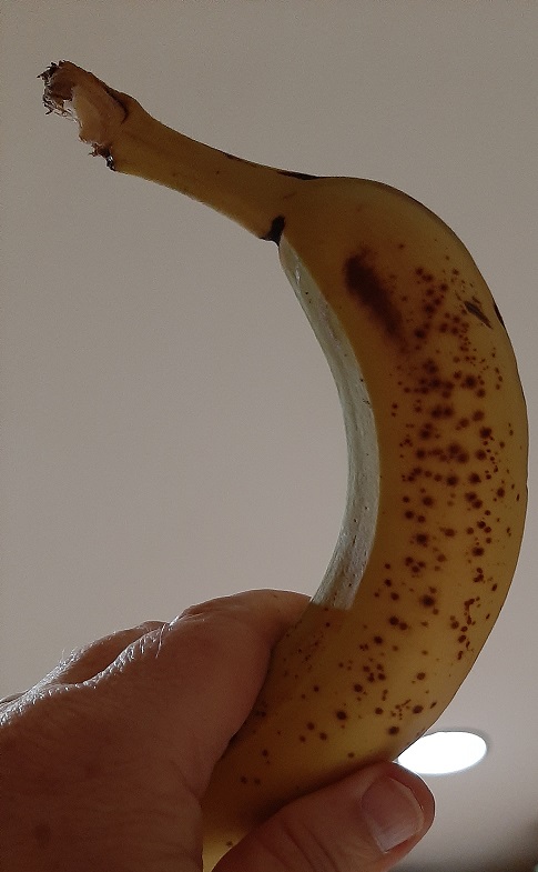 2022-09-22 - Banana2