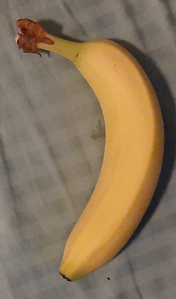 2022-09-29i - Banana