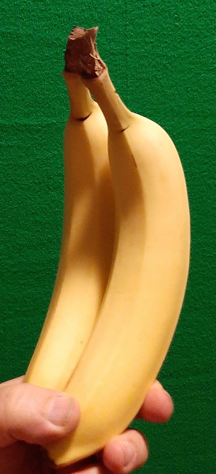 2022-10-01c - Bananas