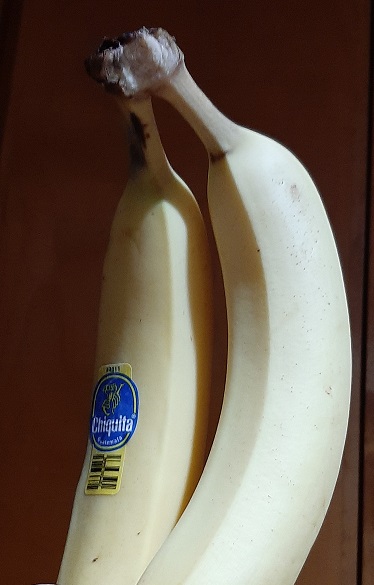 2022-10-01j - Two Bananas