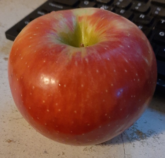 2022-10-05d - Apples