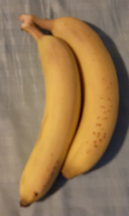 2022-10-09d - Bananas