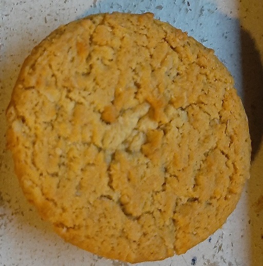 2022-10-09g - Oatmeal Cookies