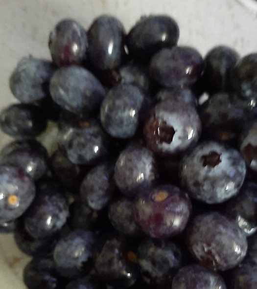 2022-10-14e - Blueberries
