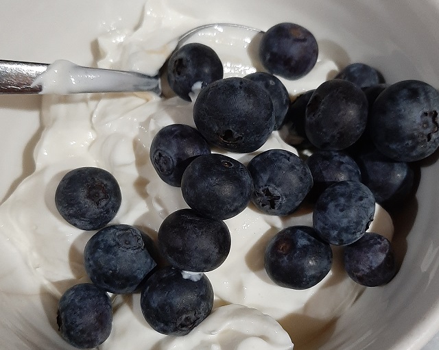 2022-1a2-19f - Yogurt & Blueberries