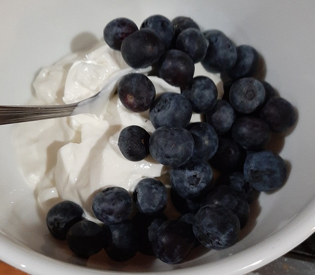 2022-12-20c - Yogurt & Blueberries